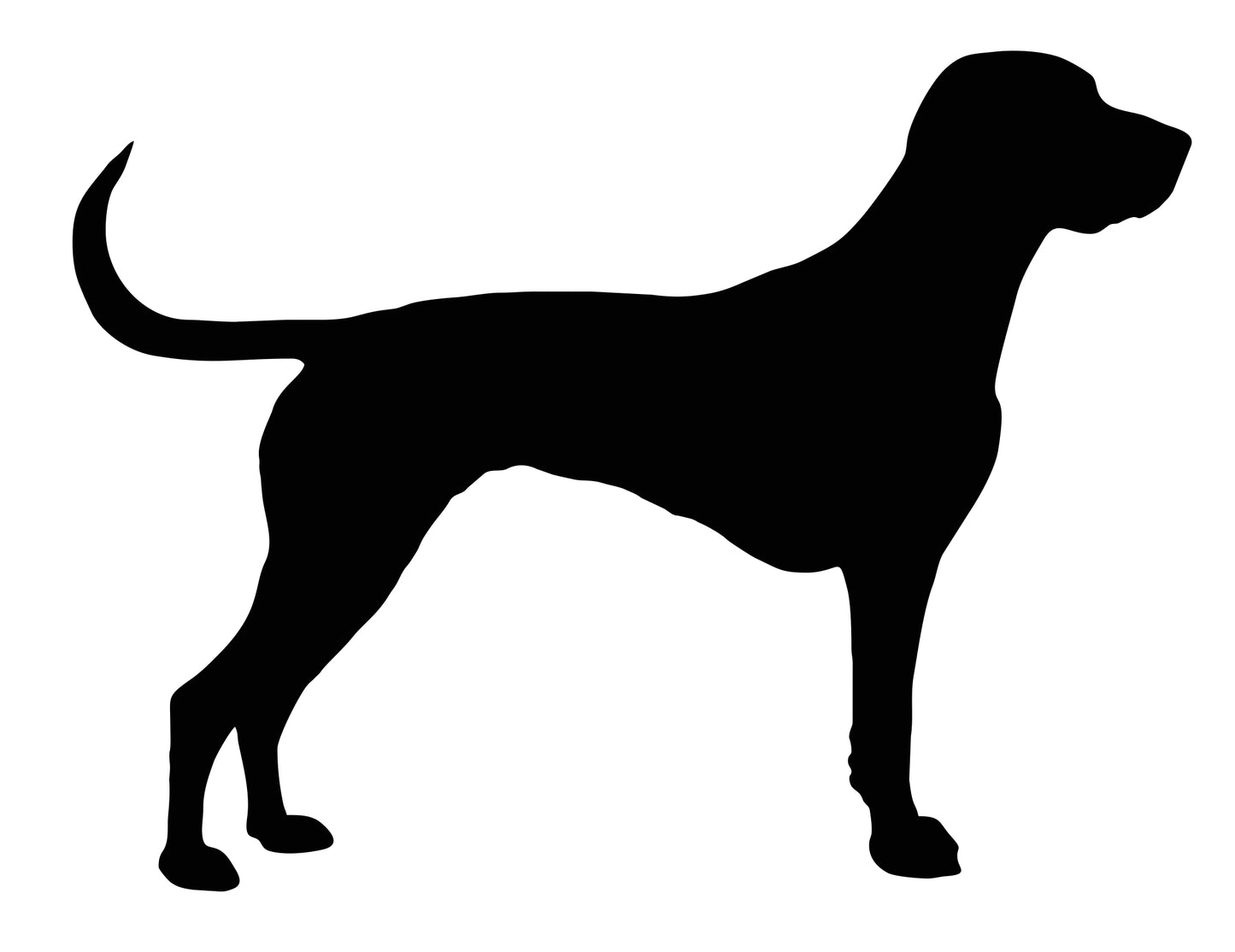 A high-quality black vinyl sticker featuring the silhouette of a Pointer dog. Durable and weatherproof, this sticker is perfect for cars, laptops, and other smooth surfaces. Also available in white for dark surfaces.
