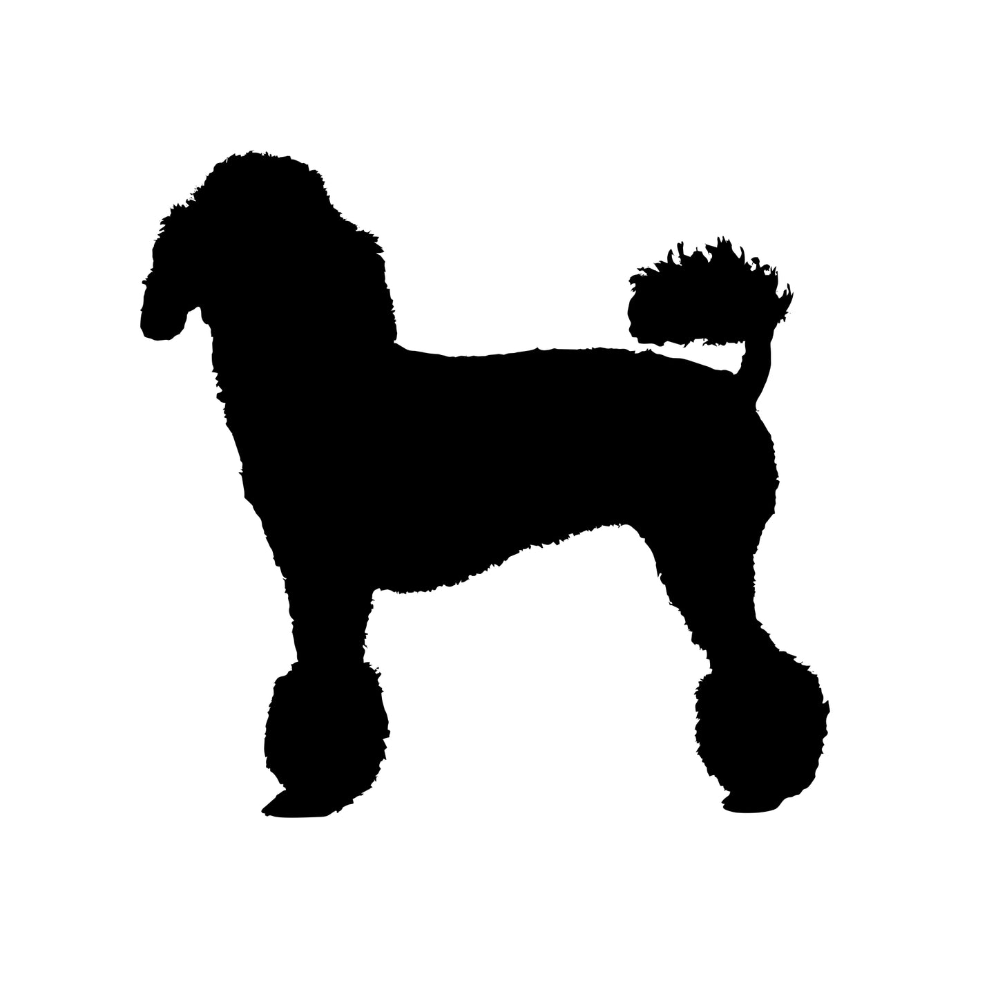 A high-quality black vinyl sticker featuring the silhouette of a Poodle dog. Durable and weatherproof, this sticker is perfect for cars, laptops, and other smooth surfaces. Also available in white for dark surfaces.