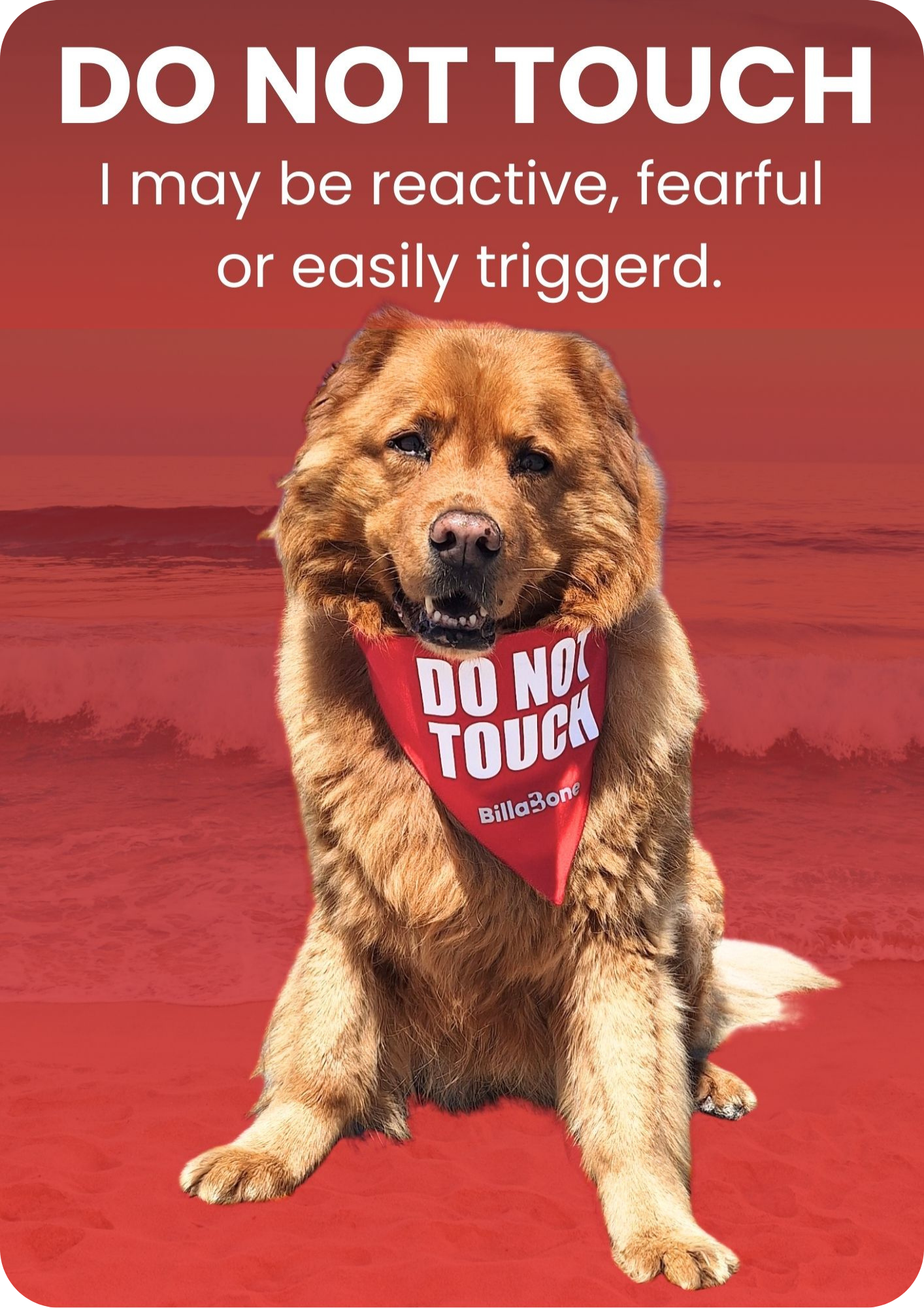 Red “Do Not Touch” dog products including bandanas and lead covers for reactive or aggressive dogs that should not be approached or touched.