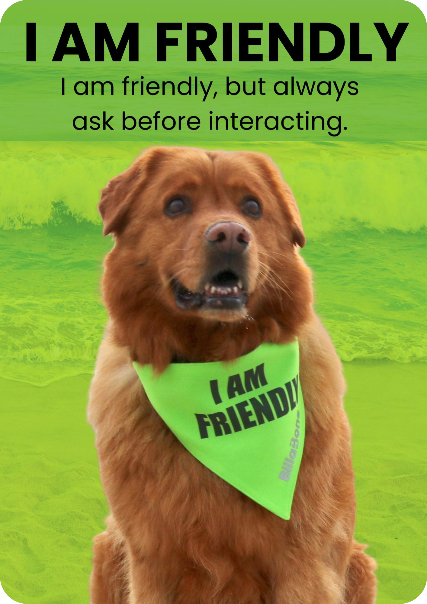 Green “I Am Friendly” dog products including bandanas and lead covers for friendly and approachable dogs.