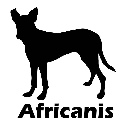 A high-quality black vinyl sticker featuring the silhouette of an Africanis dog with bold text reading "Africanis" underneath. Durable and weatherproof, this sticker is perfect for cars, laptops, and other smooth surfaces. Also available in white for dark surfaces.