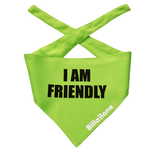 A bright green polyester bandana designed for friendly and approachable dogs. The Billabone logo is reflective for added visibility, and the lightweight fabric can be wet on hot days to help keep your dog cool during walks. Stylish, practical, and perfect for social dogs.
