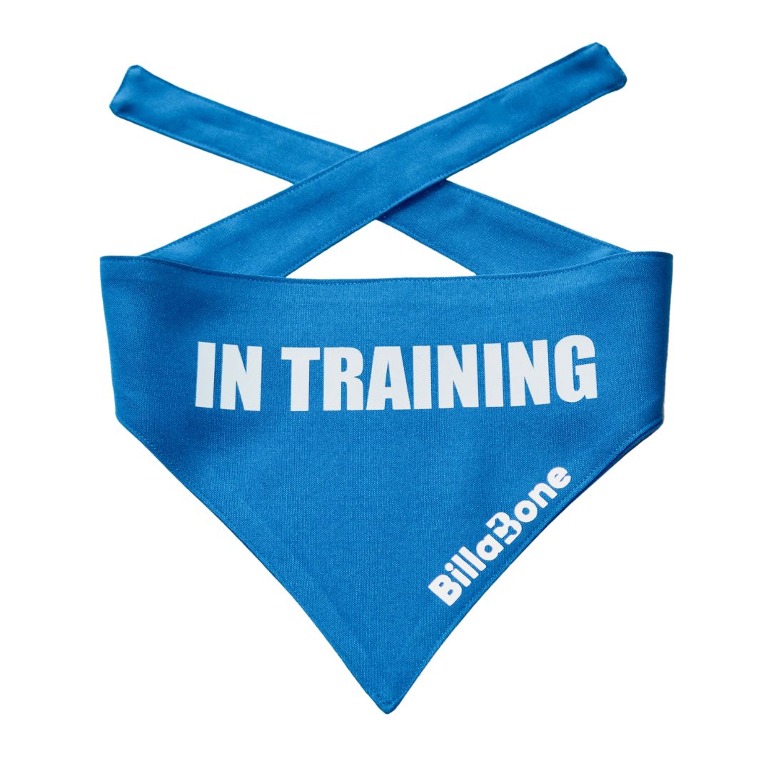 A vibrant blue polyester bandana with bold white text that reads “In Training”. Designed for dogs currently in training. Featuring a reflective Billabone logo for visibility, this lightweight and breathable bandana helps signal to others that your dog is learning and should not be distracted. Perfect for training sessions, walks, and public outings.