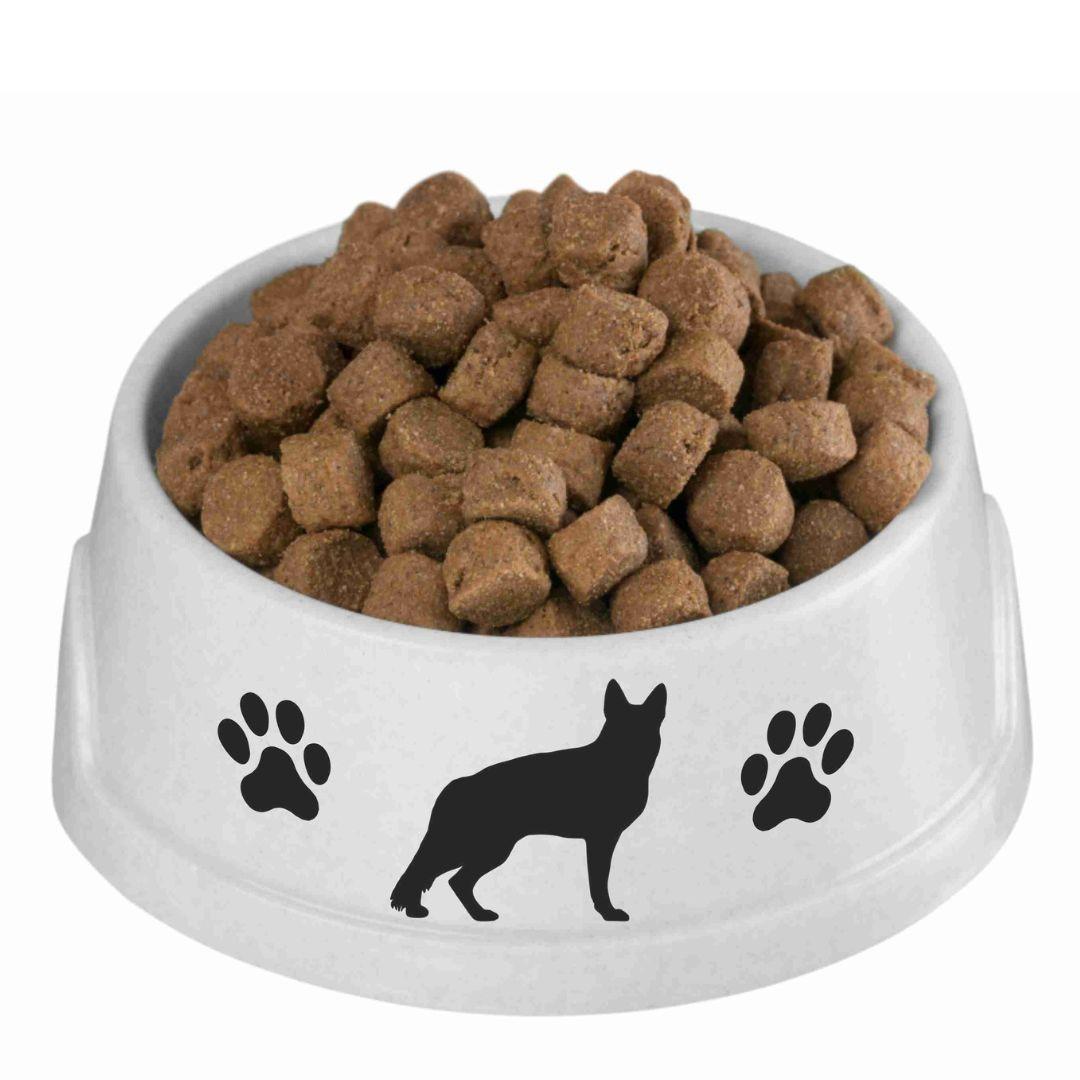 Paw print decal for dog lovers