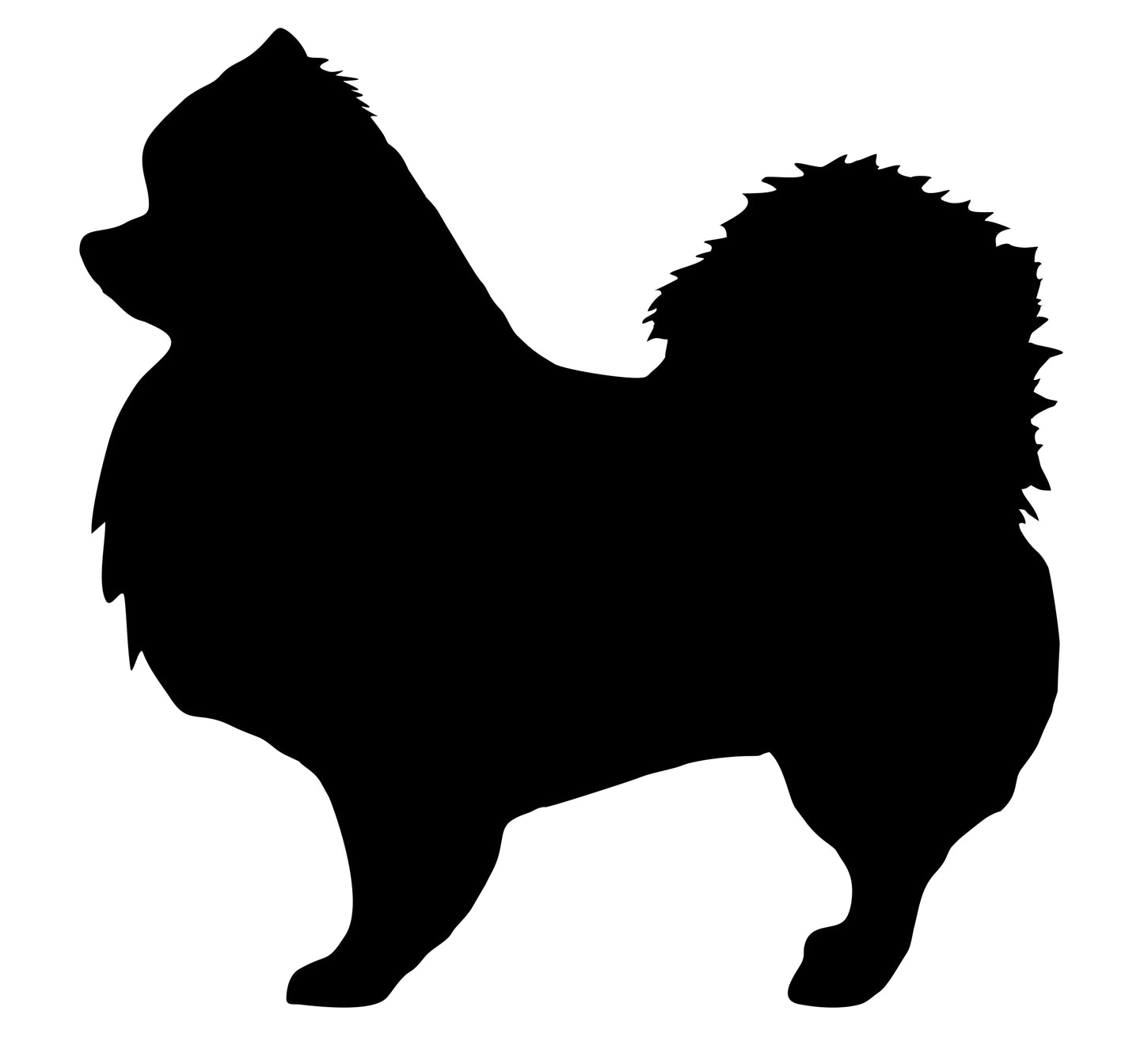 A high-quality black vinyl sticker featuring the silhouette of a Pomeranian dog. Durable and weatherproof, this sticker is perfect for cars, laptops, and other smooth surfaces. Also available in white for dark surfaces.