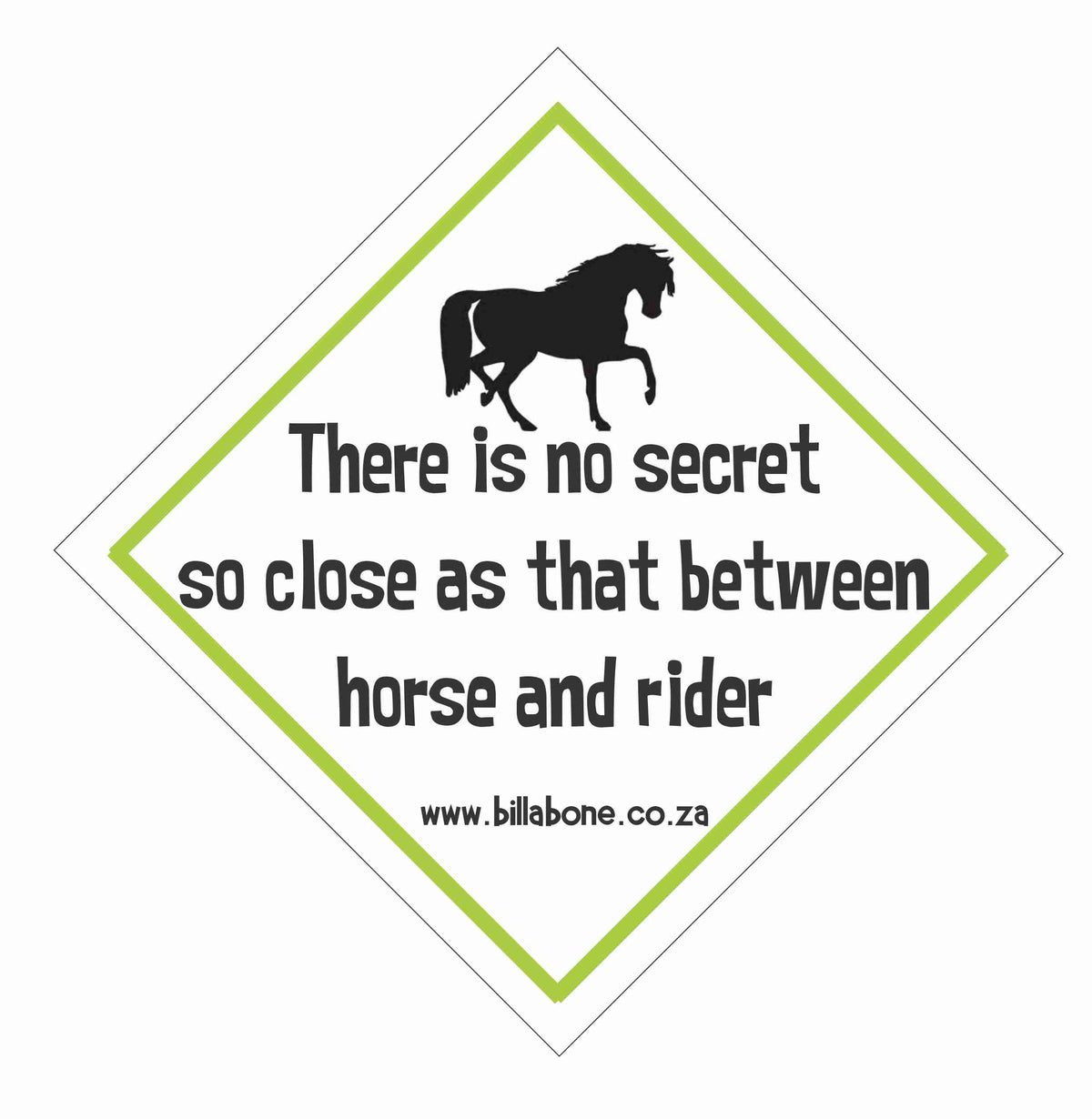 There is no such secret... Car On Board Sign or Sticker – Billabone